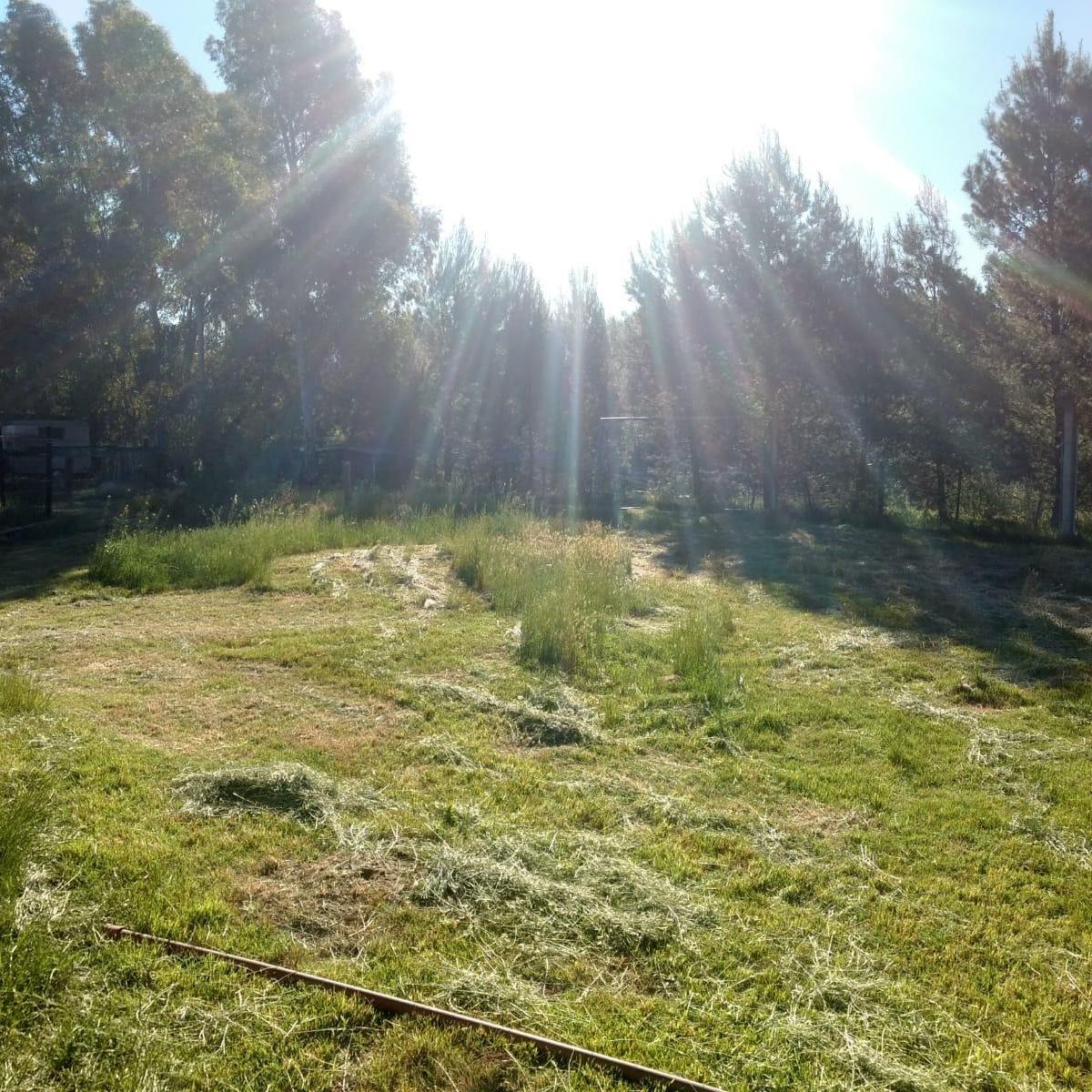 9 de Julio 5600 - Casa 4