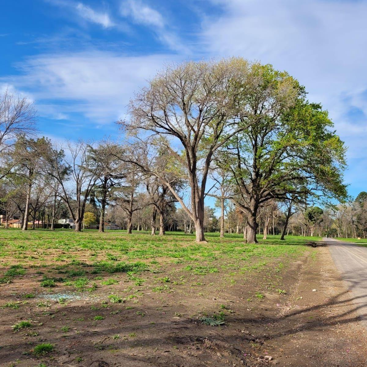Terreno en Venta en Barrio Parque El Remanso, del Viso, Pilar, Gba Norte 5
