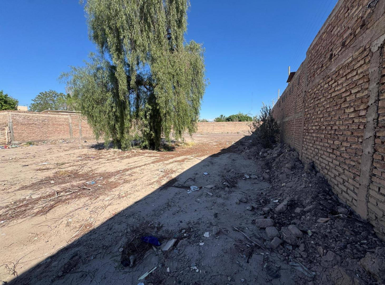 Foto de Terreno en Capital, imagen 4