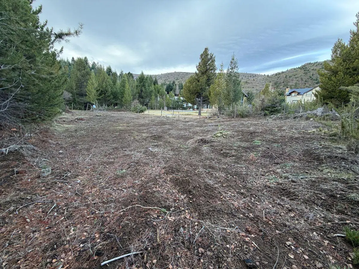 Terreno 961m2 Cerro Catredral |Bariloche 3