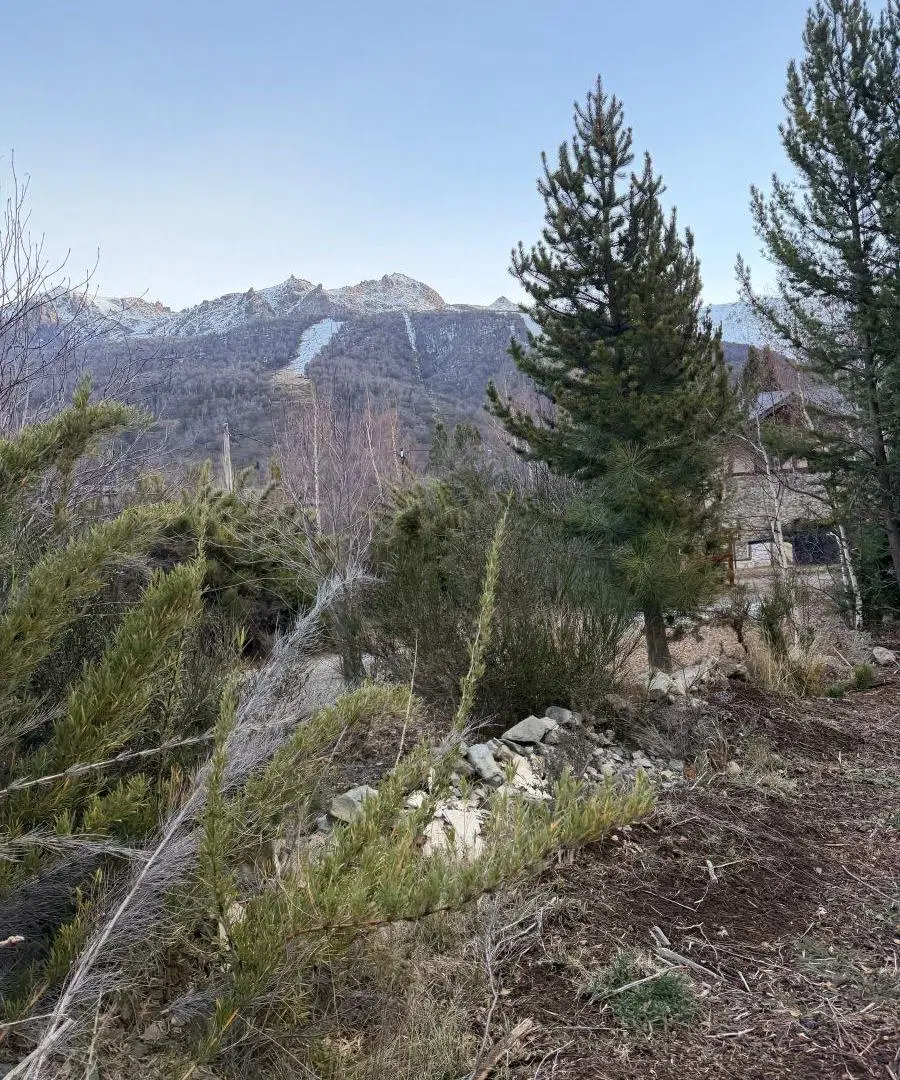 Terreno 961m2 Cerro Catredral |Bariloche 2