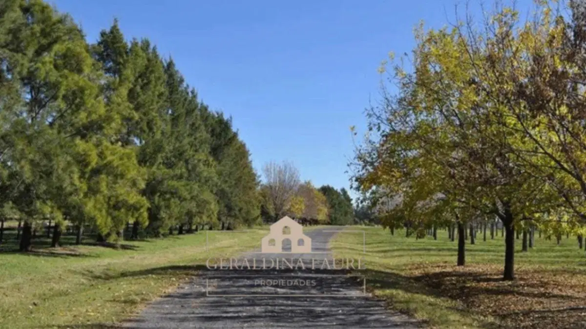 Terreno / Lote en venta de 11013m2 ubicado en La Macarena 3
