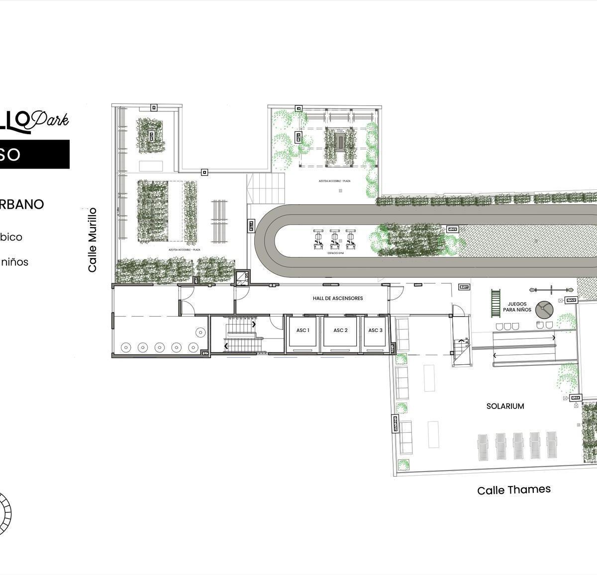 Plano 8