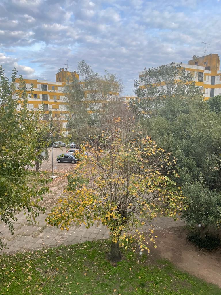 Departamento Venta, Villa Elisa 2 Dorm. 60 m² a 100 m Au. La Plata - Bs. As. 4