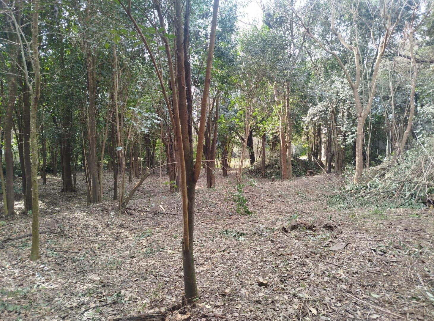 Foto de Lote en venta en Anisacate, el Descanso, a escasa distancia del Río., imagen 3