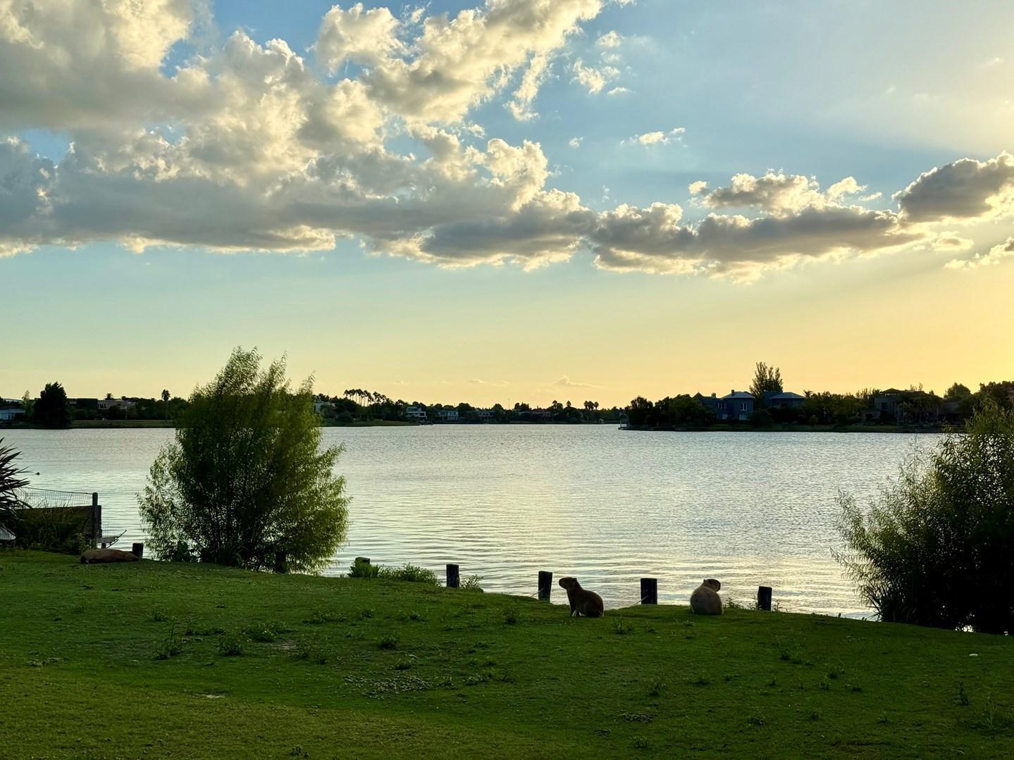 Foto de Terreno en Venta ubicado en El Golf, Nordelta, imagen 2