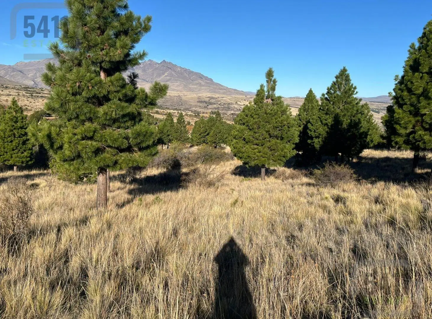 Venta Terreno Loteo con Mensura en Trevelin, Chubut 4