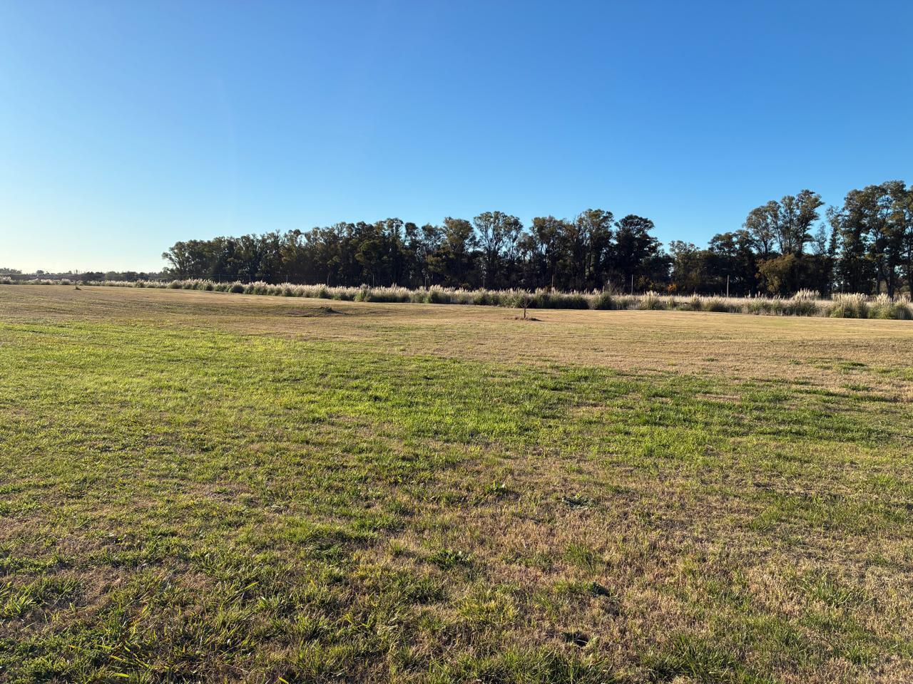 Foto de LOTE A LA VENTA 2000m2 proyecto aprobado en ESTANCIA VILLA MARIA, imagen 5