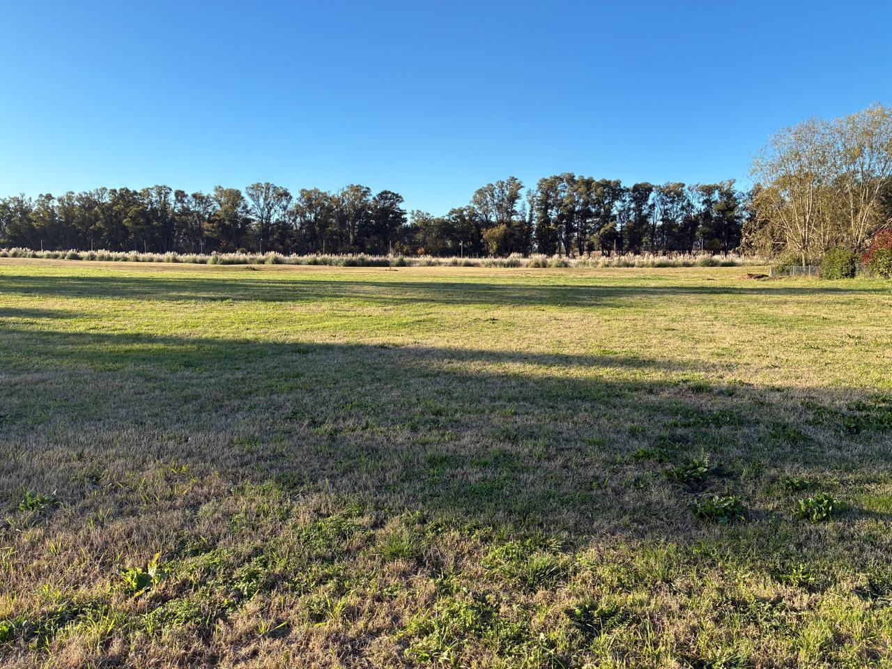 Foto de LOTE A LA VENTA 2000m2 proyecto aprobado en ESTANCIA VILLA MARIA, imagen 4