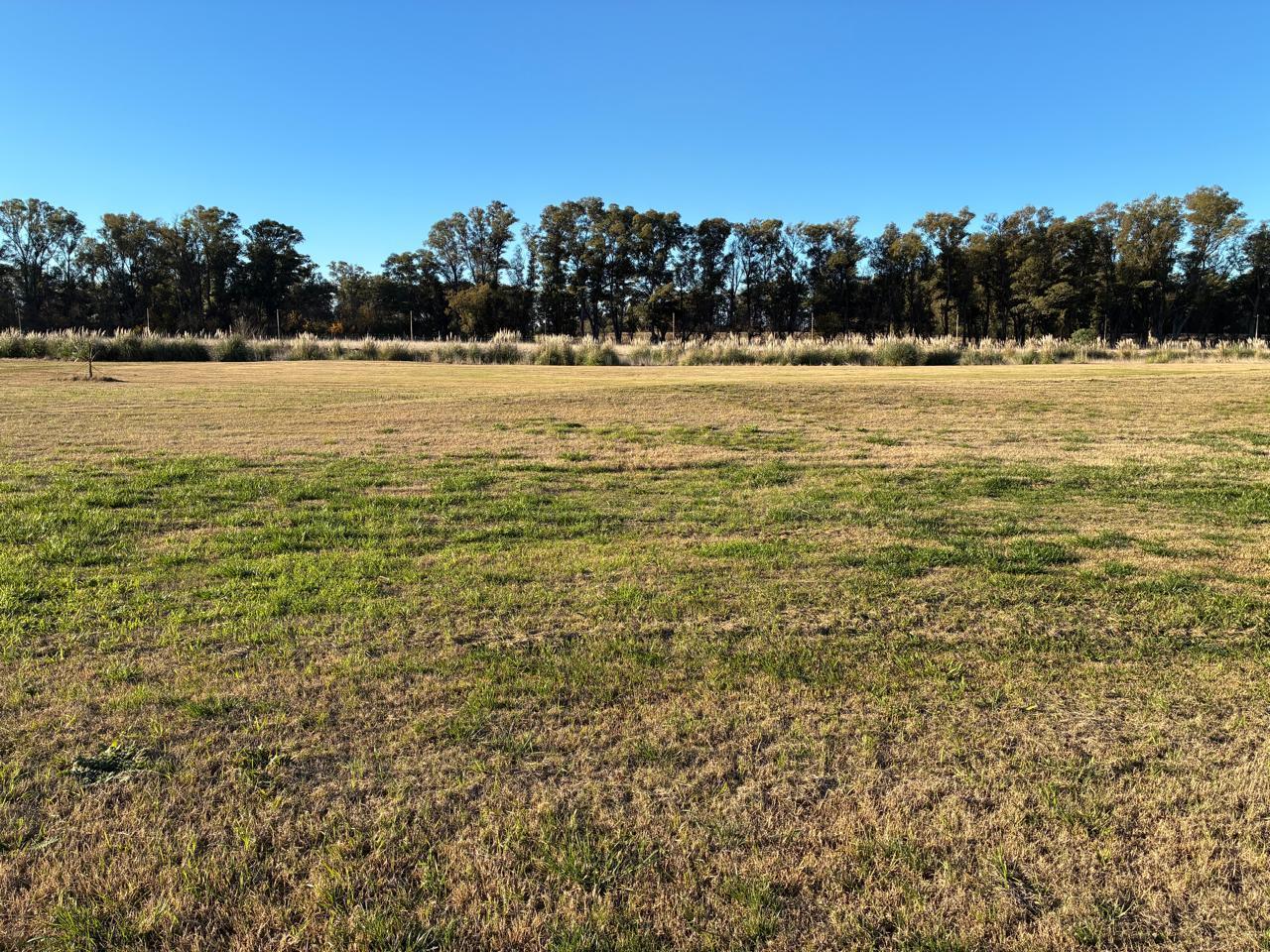 Foto de LOTE A LA VENTA 2000m2 proyecto aprobado en ESTANCIA VILLA MARIA, imagen 4
