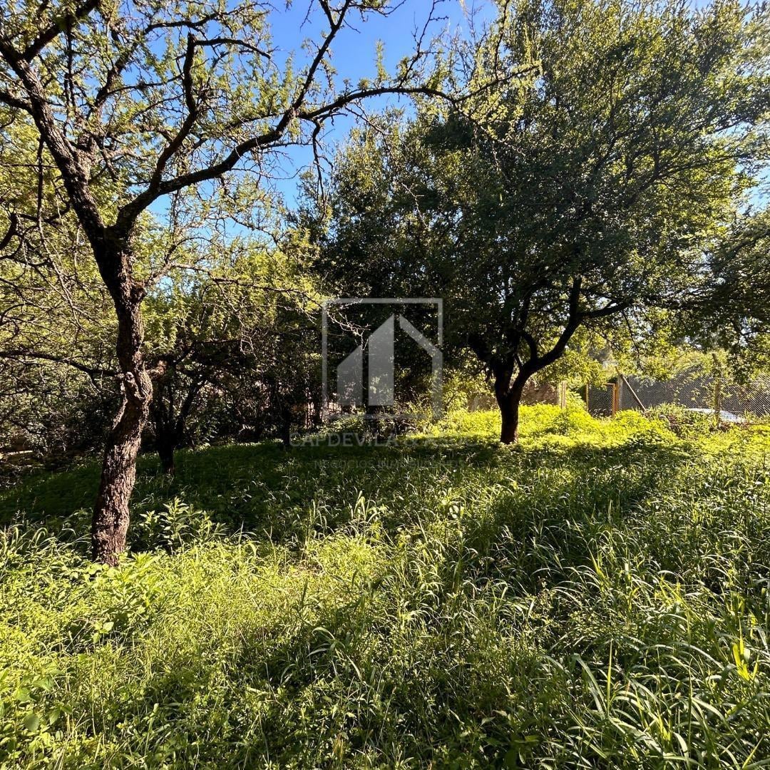 Foto de Lote en Venta – Villa Allende Golf, imagen 4
