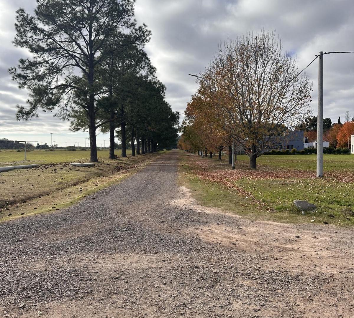 Foto de Terreno en Los Molinos, imagen 2