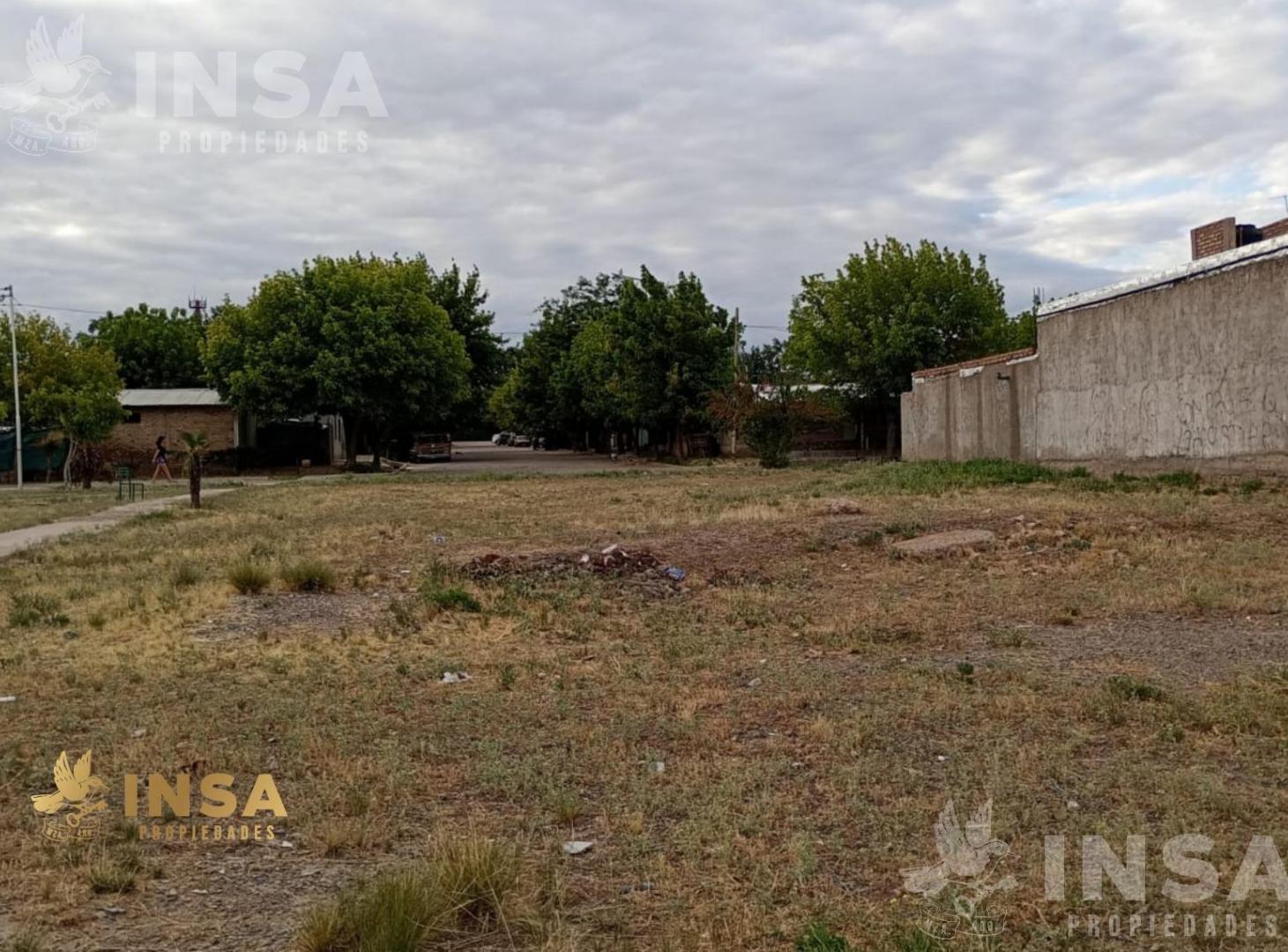 TERRENO EN VENTA EN TUPUNGATO