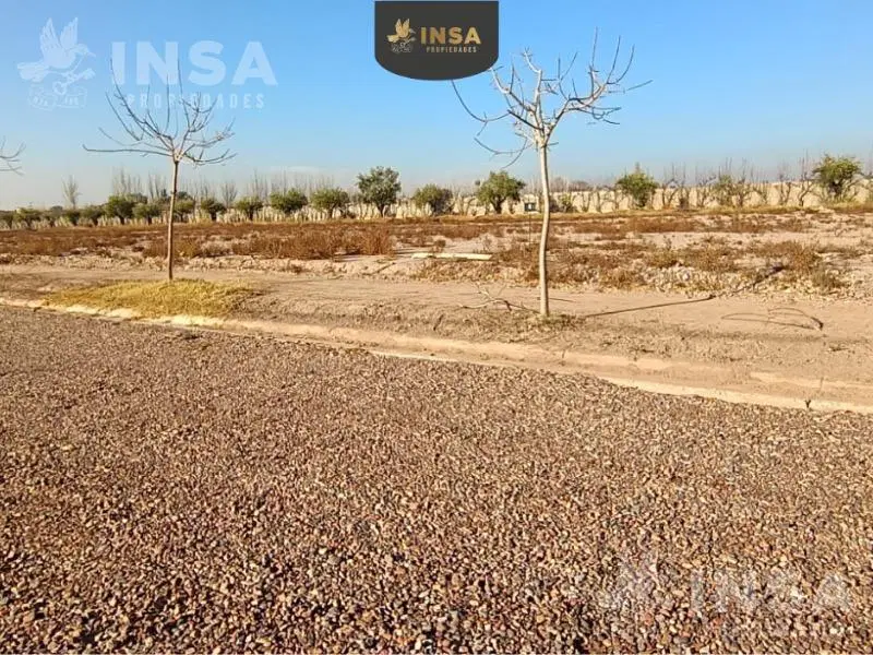 Terreno en Lujan De Cuyo 5