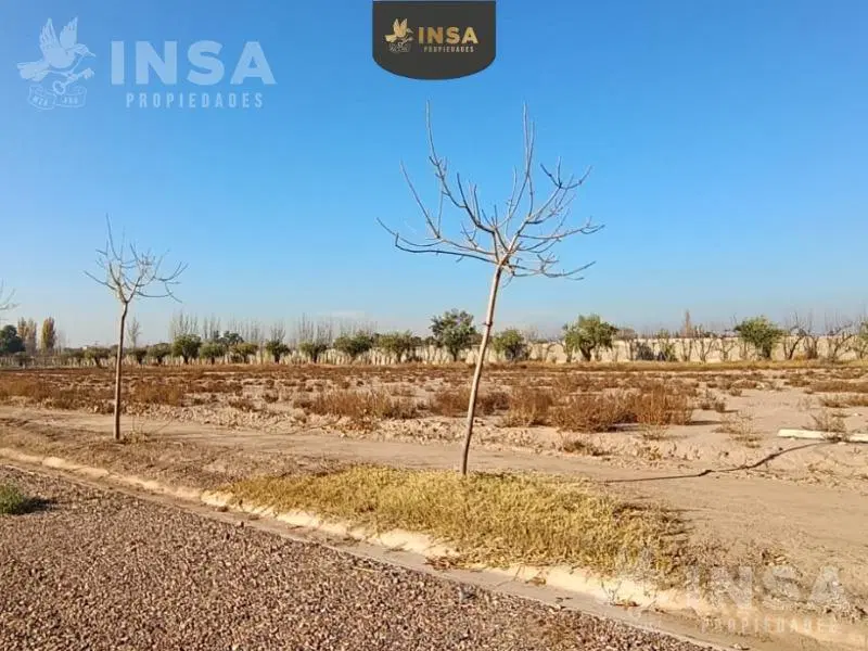Terreno en Lujan De Cuyo 3