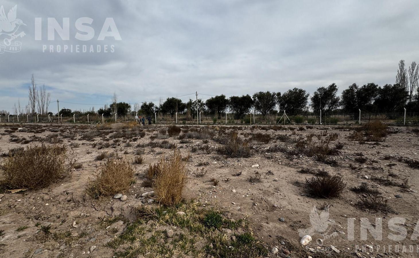 Foto de Venta - Terreno - Barrio La Quebrada - 593m2, imagen 5
