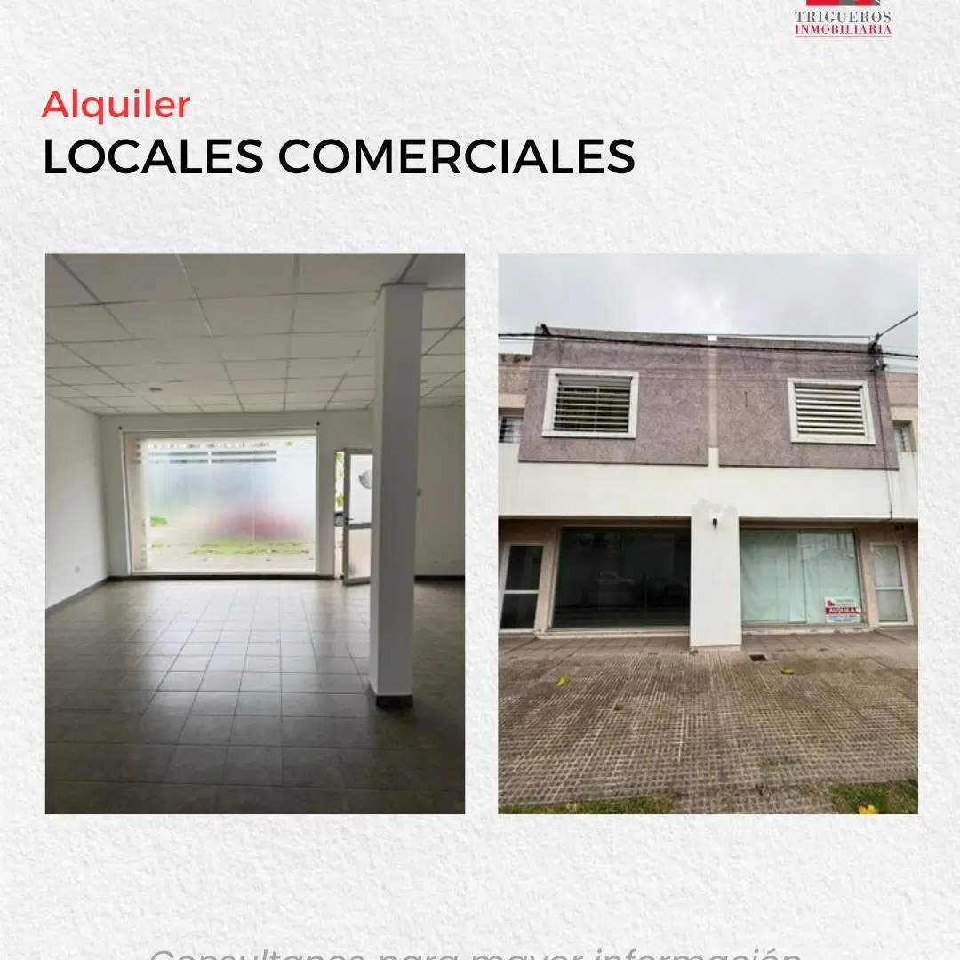 OFICINAS COMERCIALES EN ALQUILER 5
