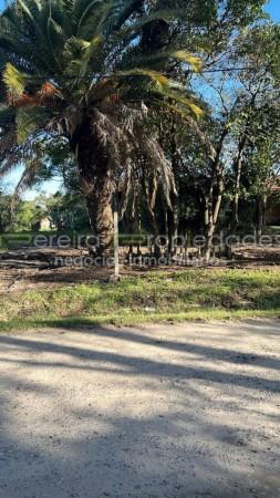 Lote Sobre Ruta 11 Sauce 585 m 5