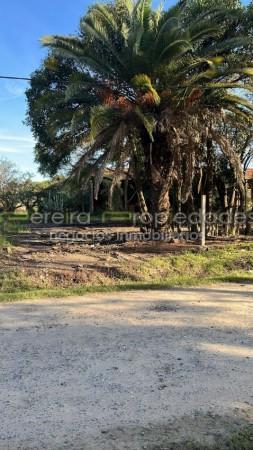 Lote Sobre Ruta 11 Sauce 585 m 1