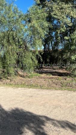 Lote Sobre Ruta 11 Sauce 585 m 4