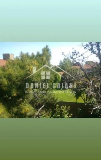 Departamento en Alquiler en Mar Del Plata 3