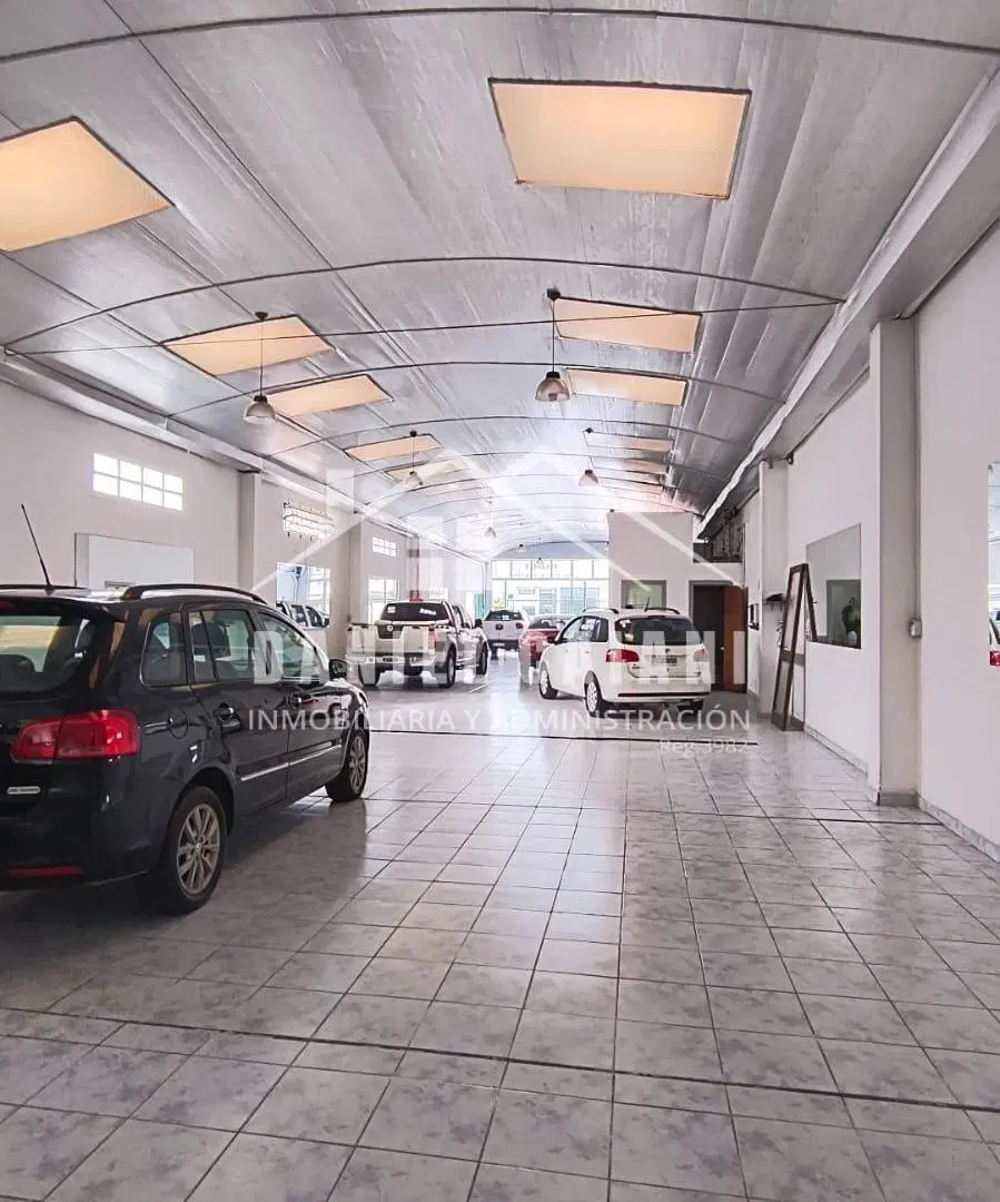 Local comercial en Alquiler en Centro 3