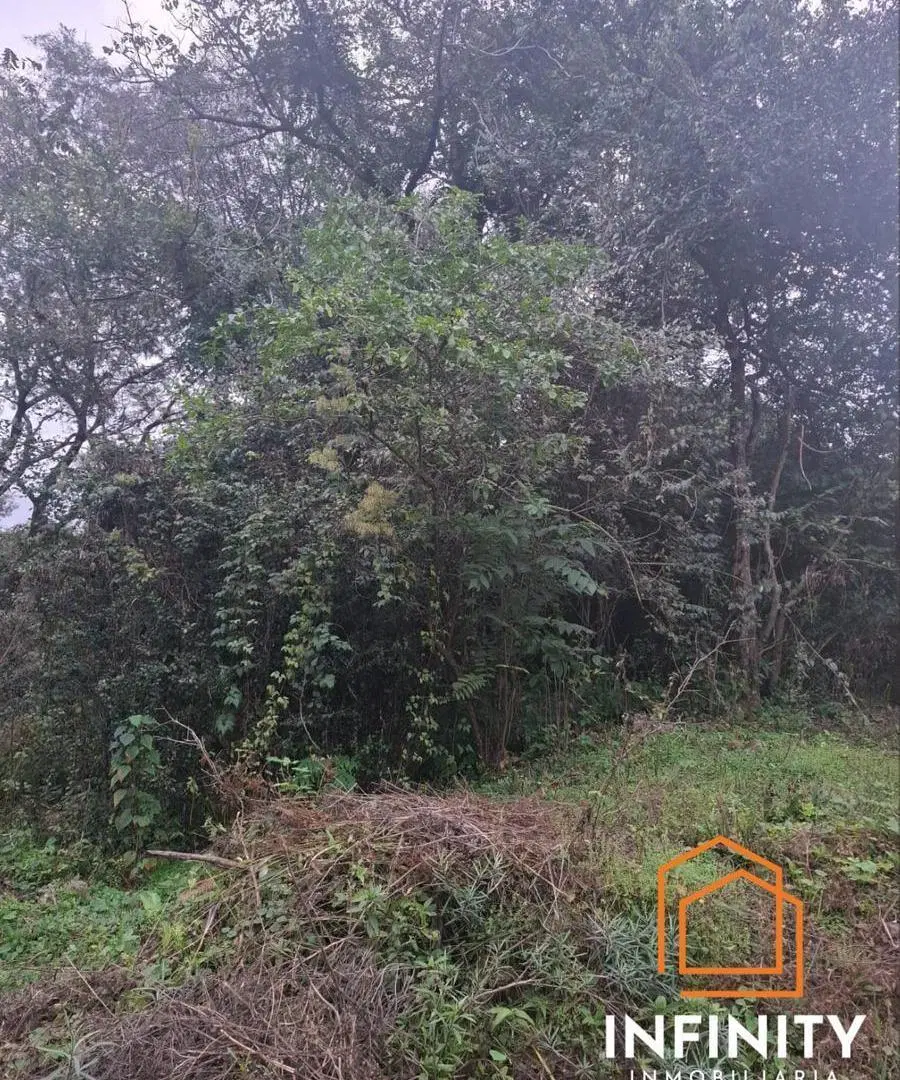 Terreno en VENTA 5