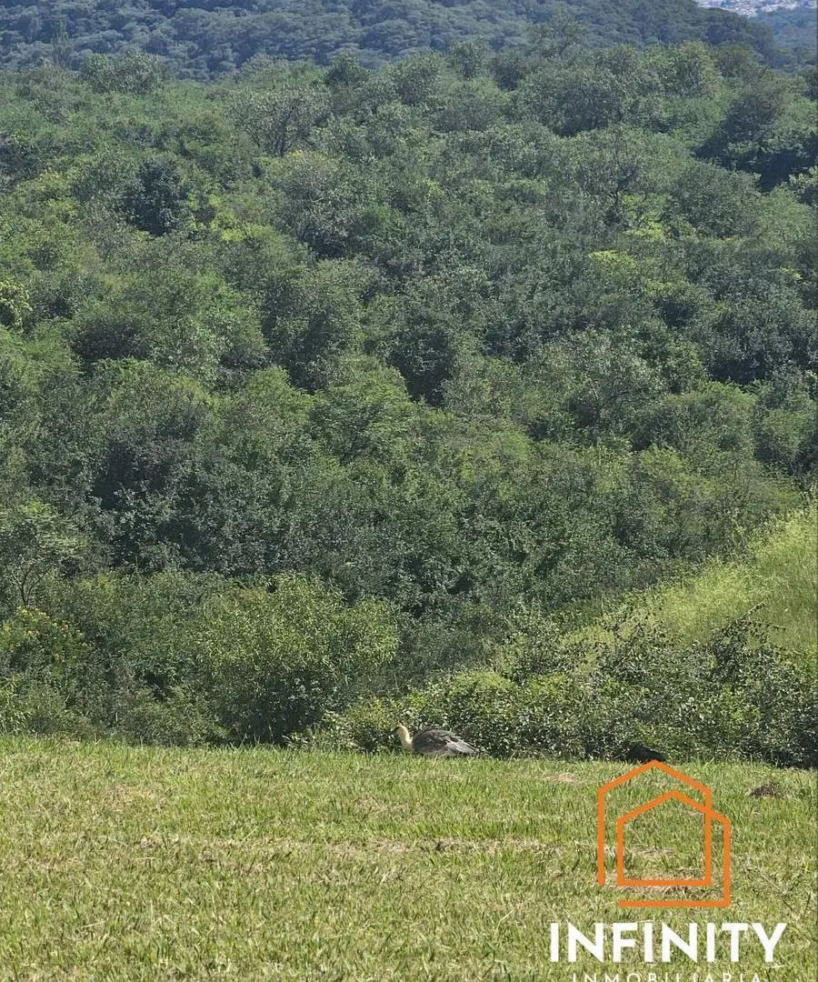 Terreno en Calderilla 3