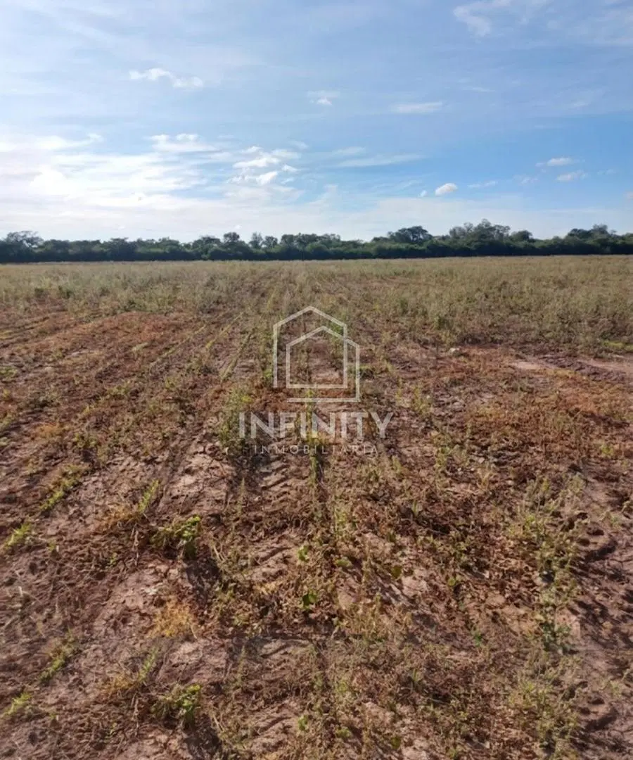 Campo en Dragones 3