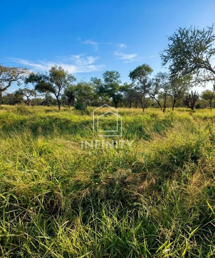 Campo en Dragones 5