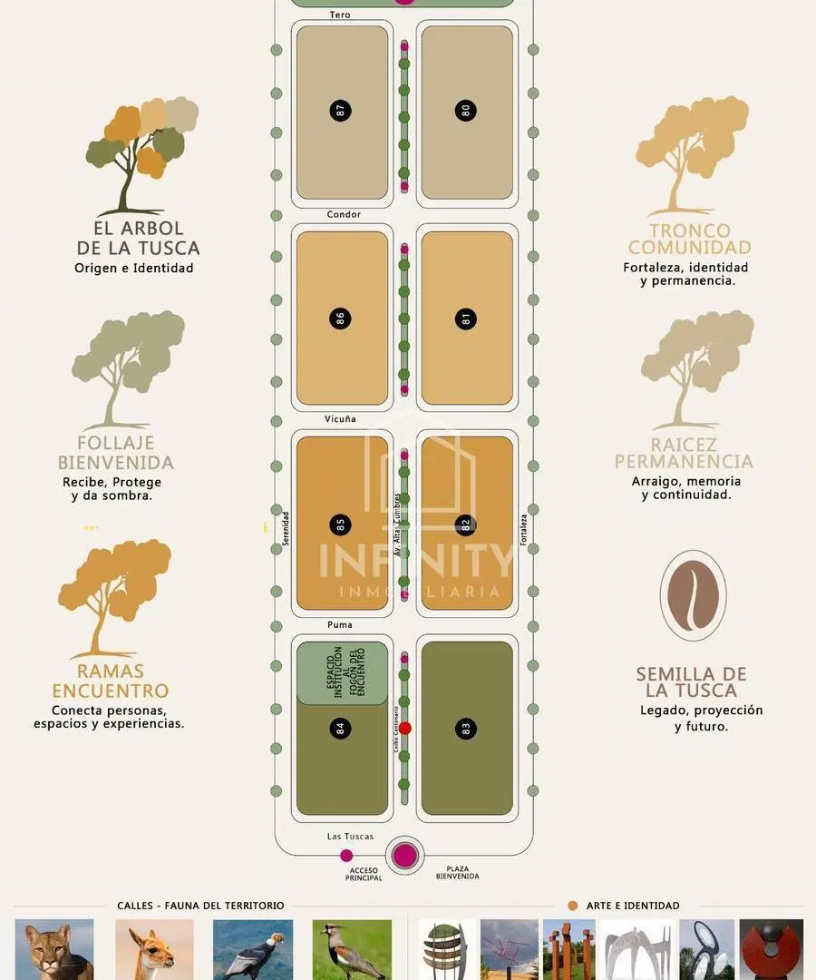 Plano 3