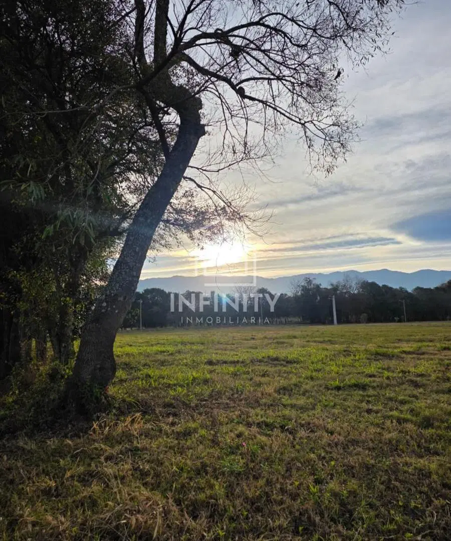 Parcelas | RP 24 - Km 10 | El Tuscal, Camino a Colón 5