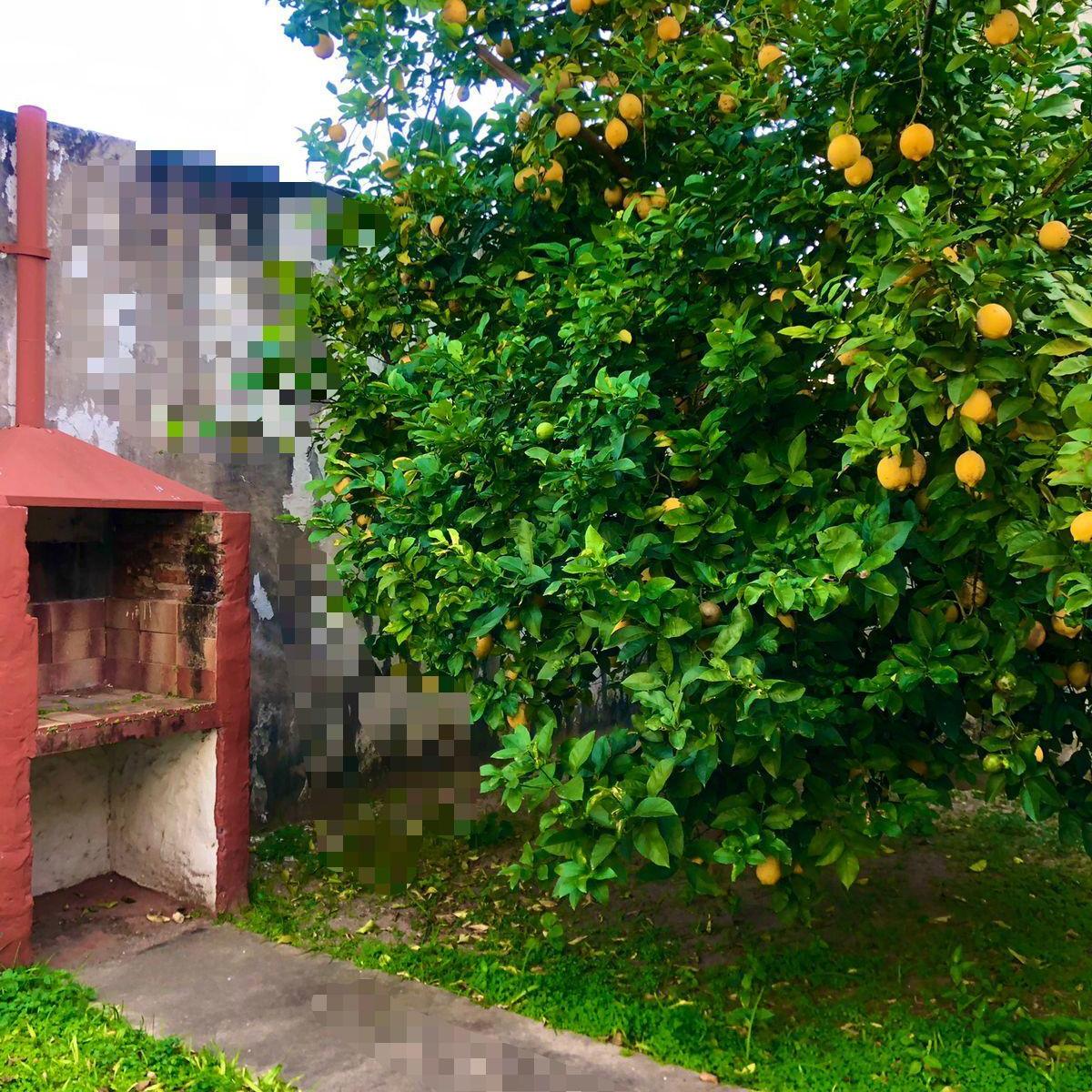 Casa Semicéntrica en Goya – a m de Plaza Plácido Martínez 4