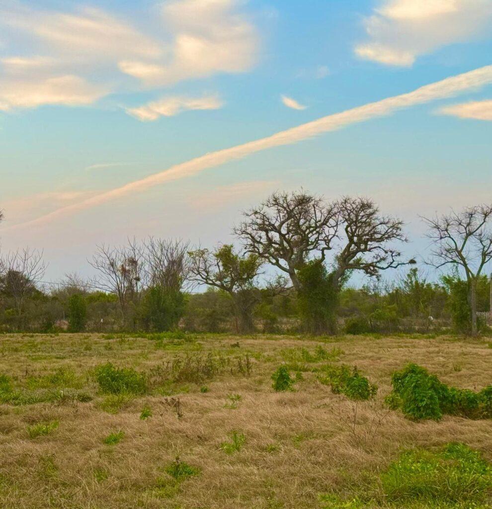 Terreno en Colonia Carolina (Loteo La Vieja Estación) 1