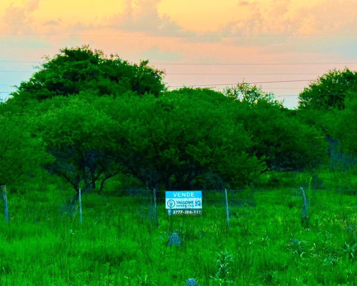 Campo de 222 Ha en Santa Rita – Ideal Para Ganadería – Goya, Corrientes 3