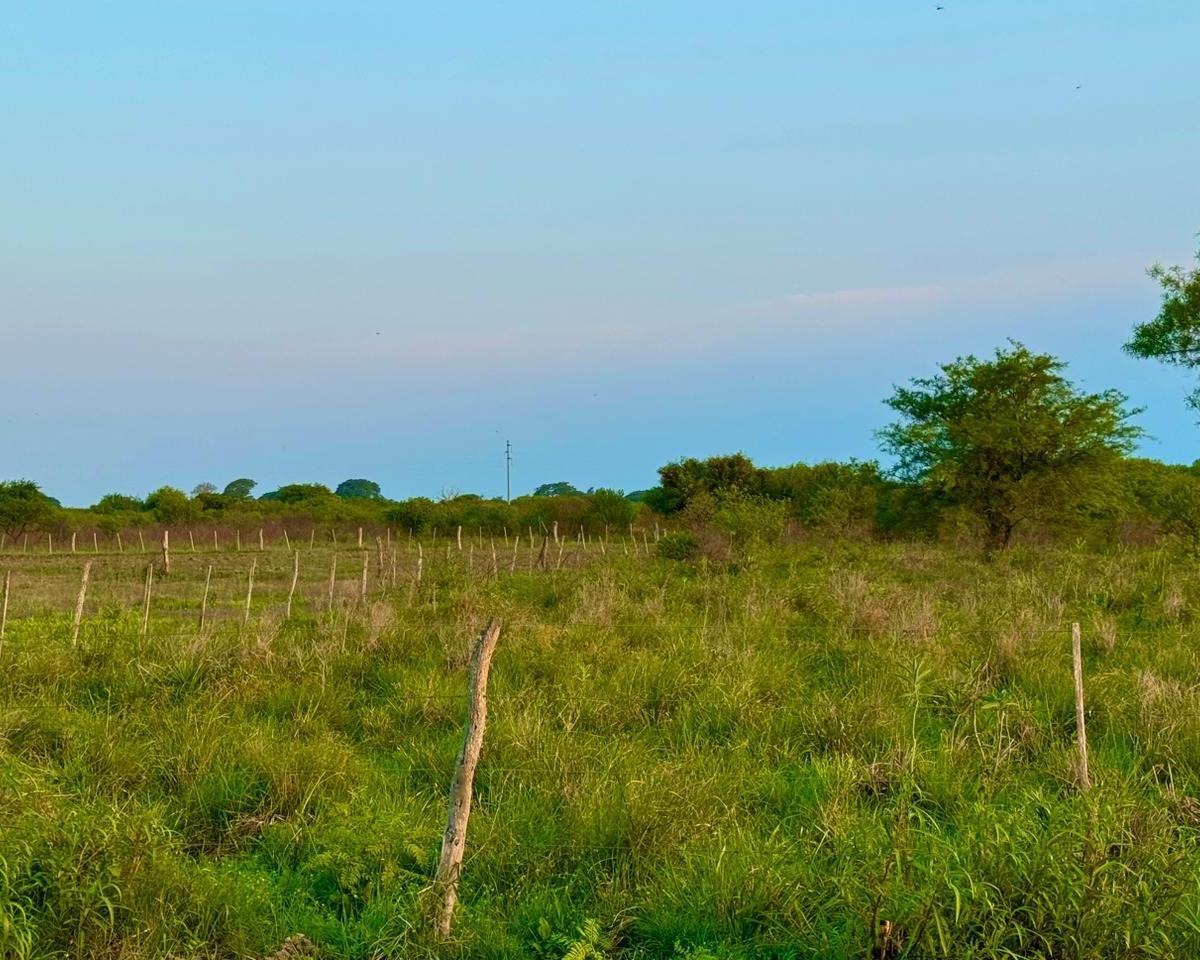 Campo de 222 Ha en Santa Rita – Ideal Para Ganadería – Goya, Corrientes 1