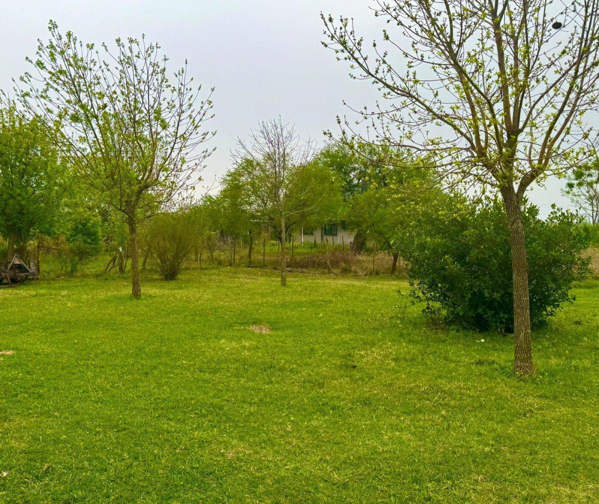 Campo de 60 Has en San Isidro, Corrientes con 2 Casas y Quincho 1
