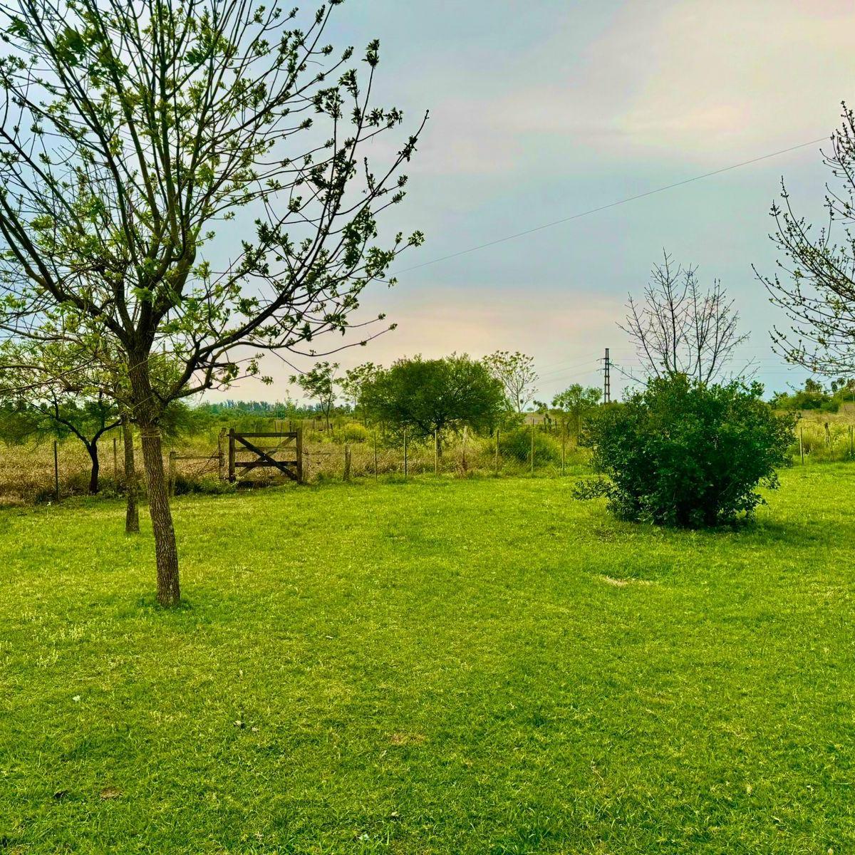 Campo de 60 Has en San Isidro, Corrientes con 2 Casas y Quincho 5