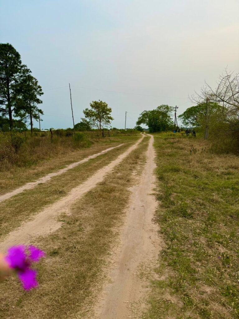 Terreno en Colonia Carolina 5