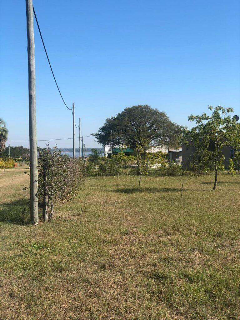 Terreno en Cecilio Echeverria (40x40) 5