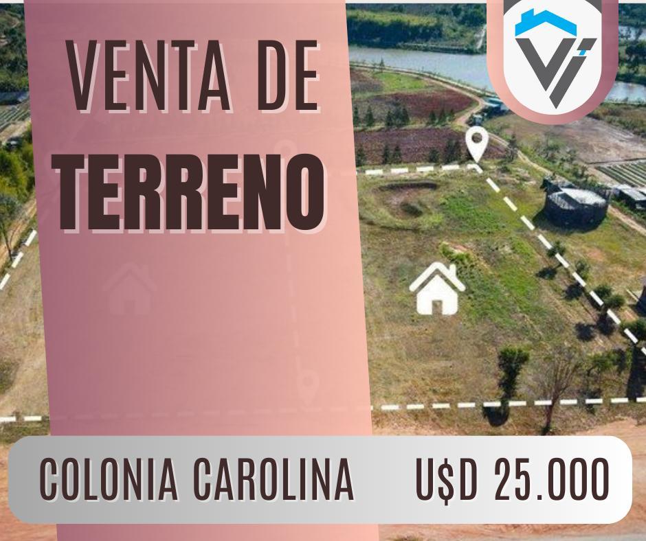Terreno en Colonia Carolina 40x40 3