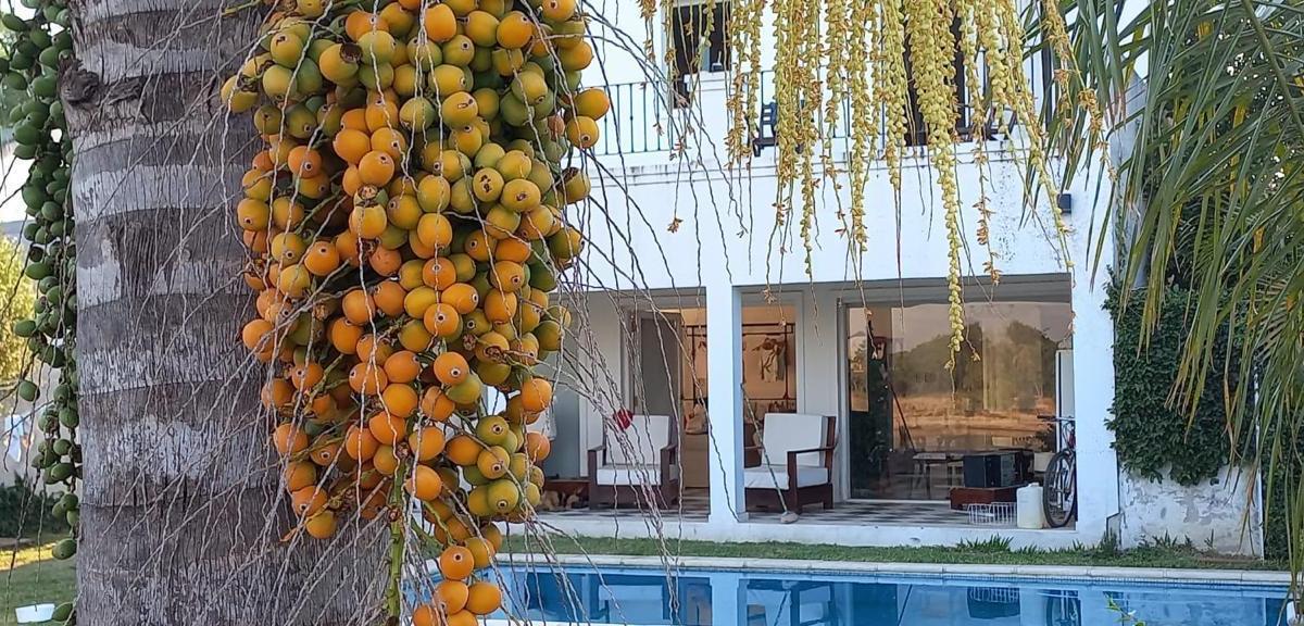 Casa en Paraje Remanso, Goya – Vista Al Río – Piscina – 488 m² – Usd 260.000 3