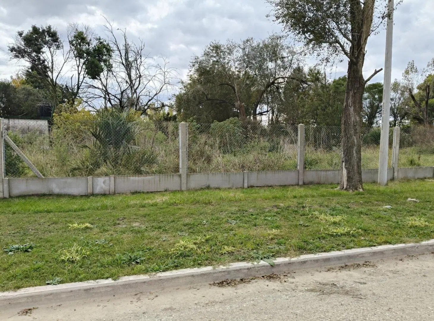 LOTES BARRIO LA PALOMA, TIMBÚES 5