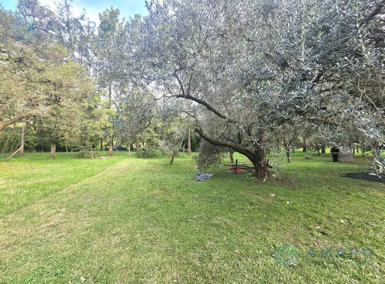 ·VENTA · FRACCION DE TIERRA 8900m² ·     CASA · PROYECTO · FUNES 8