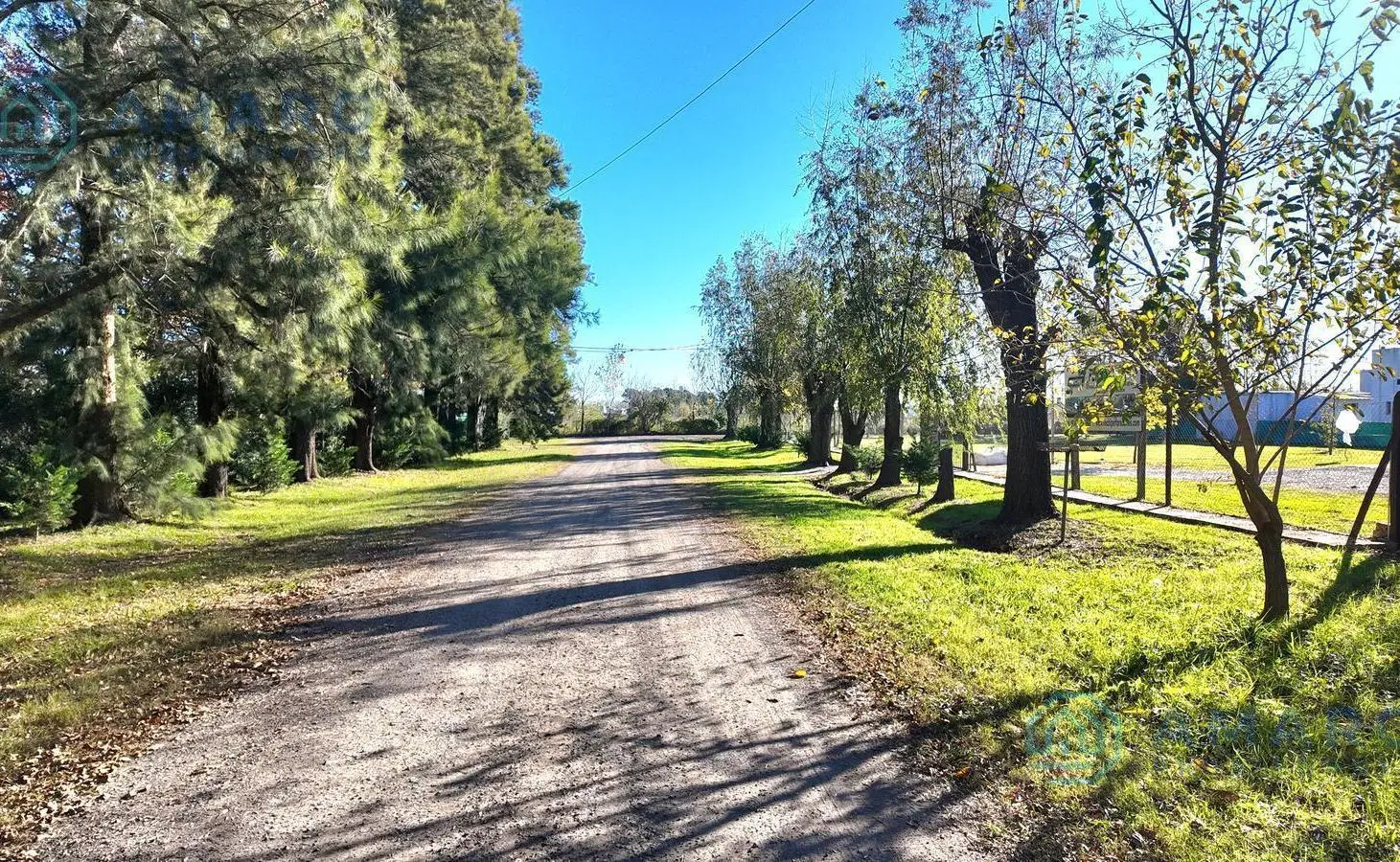 VENTA LOTE 5