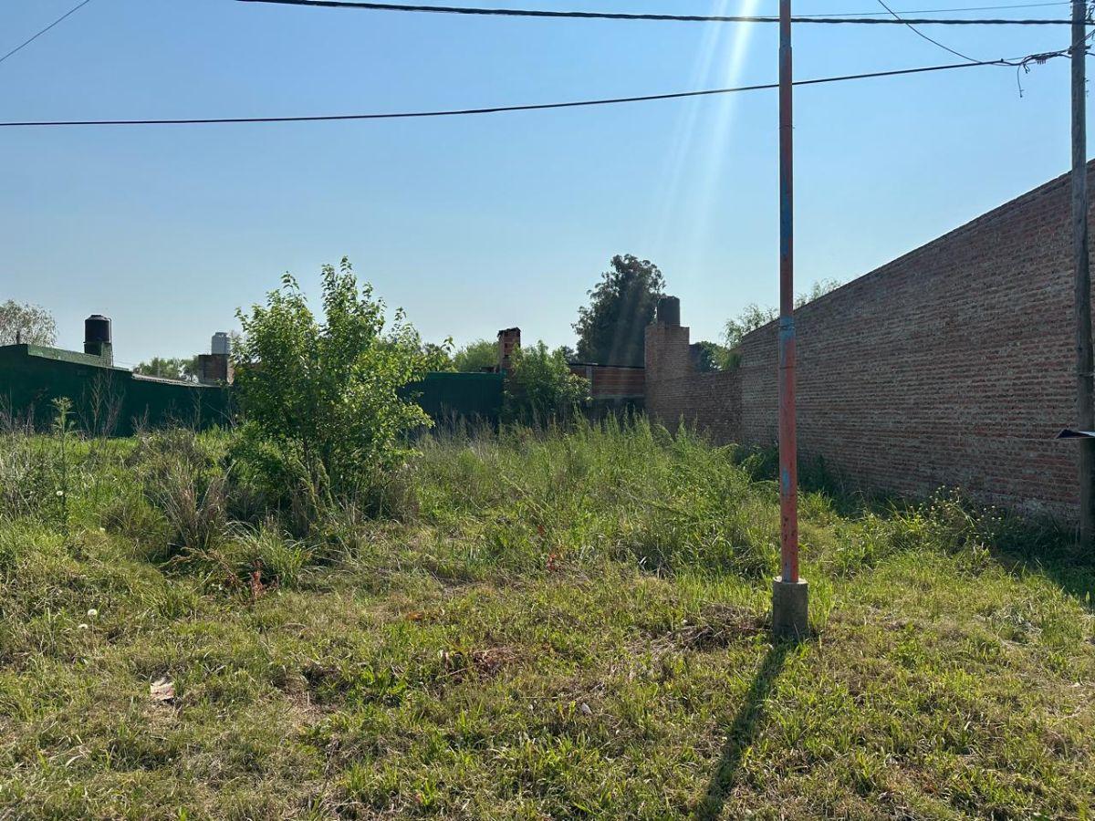 Foto de Terreno en venta de 200 m2 (10x20) en Recreo Sur, imagen 4