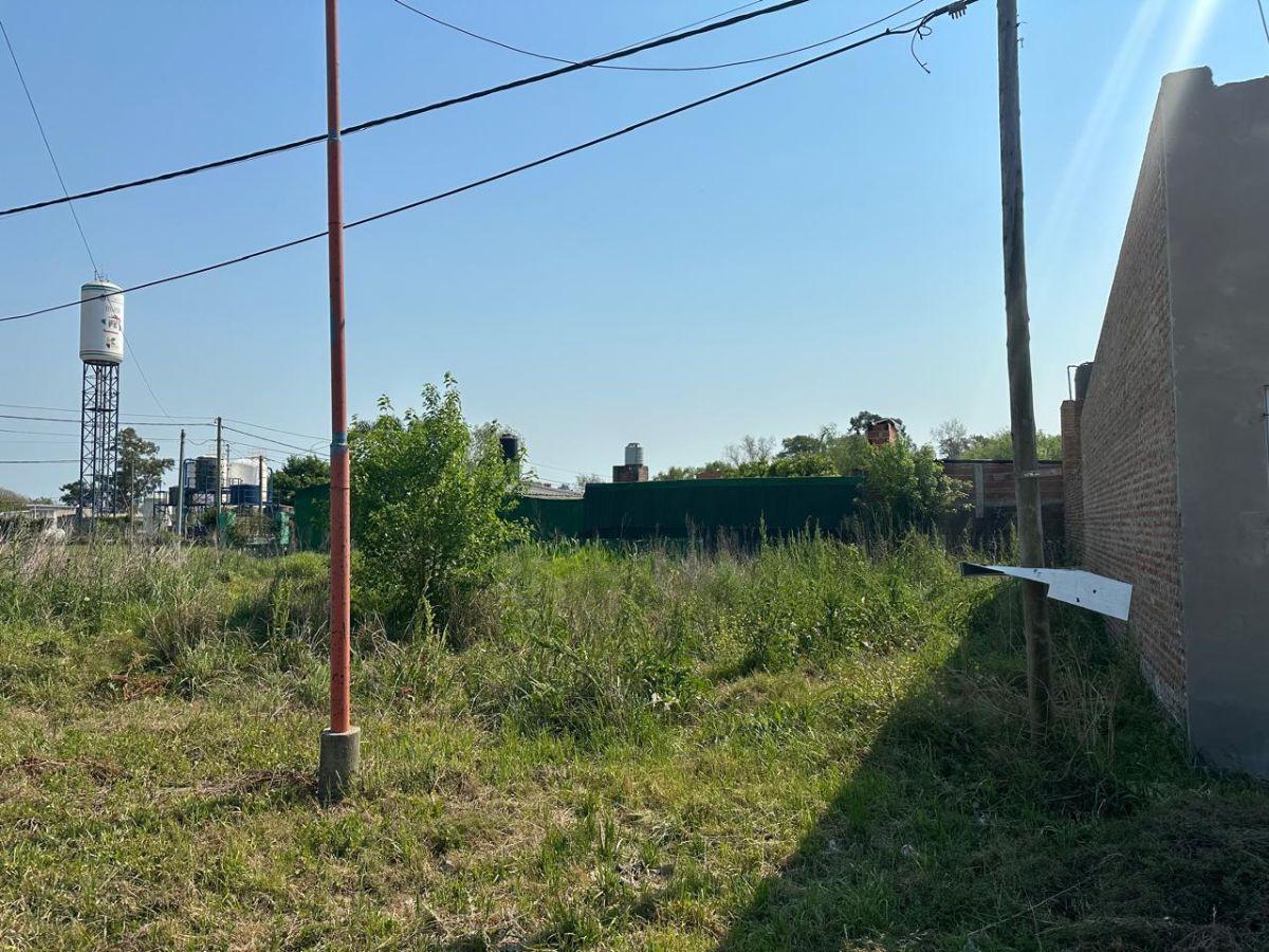 Foto de Terreno en venta de 200 m2 (10x20) en Recreo Sur, imagen 5