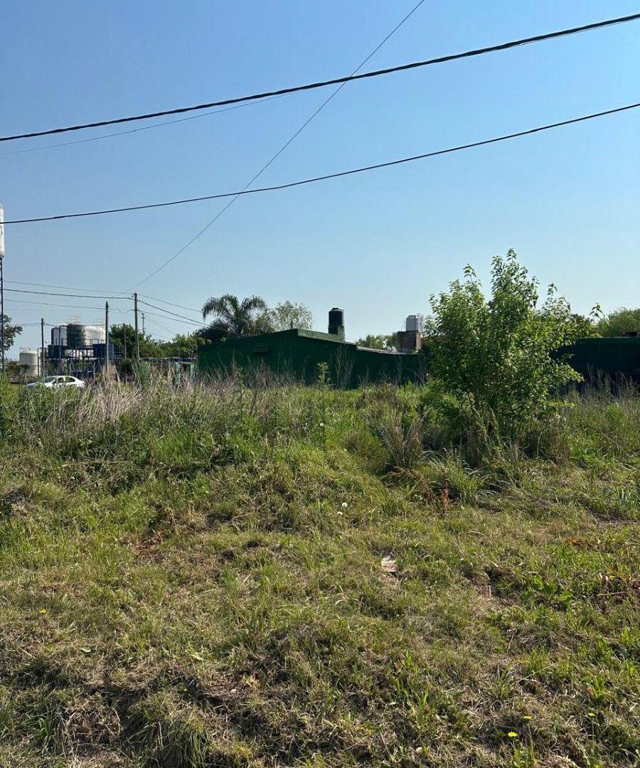 Foto de Terreno en venta de 200 m2 (10x20) en Recreo Sur, imagen 3