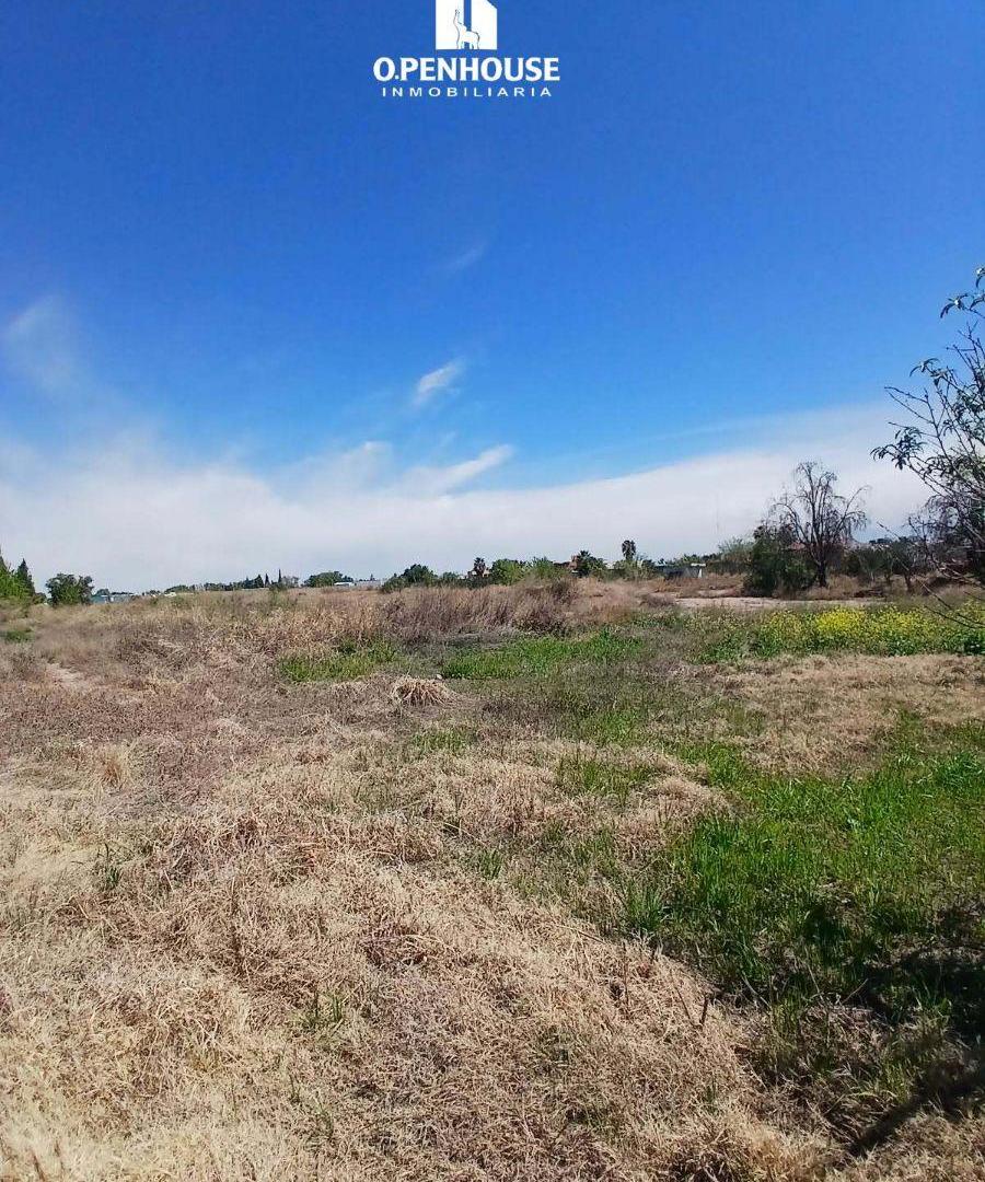 Foto de TERRENO EN VENTA CALLE ELPIDIO GONZALES - GUAYMALLEN, imagen 5