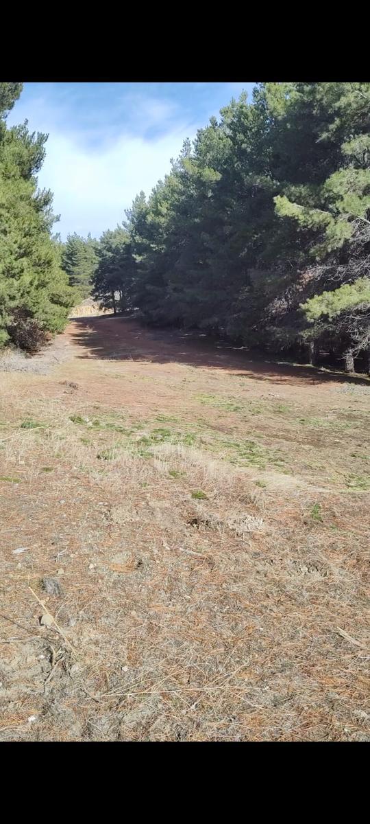 Terreno con 275 m² en El Centro de Dina Huapi - Dina Huapi 1
